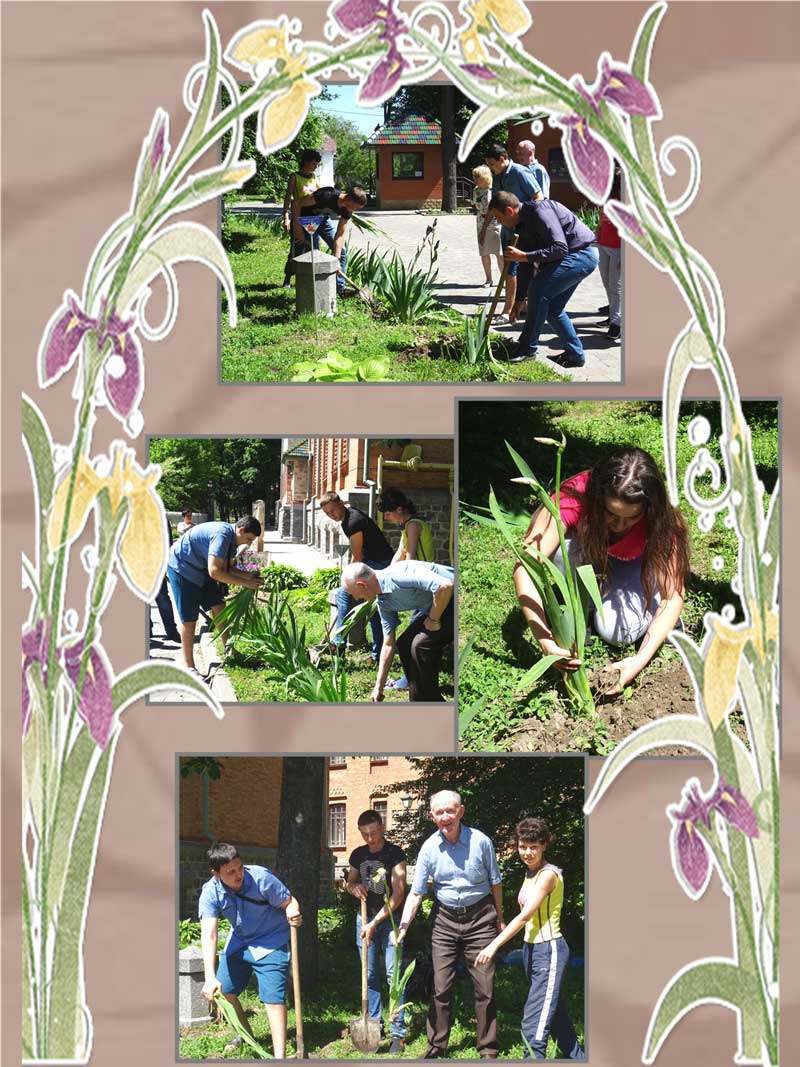 19 05 21 posadka irysy