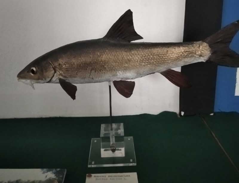 20 04 30 fotoviktoryna03