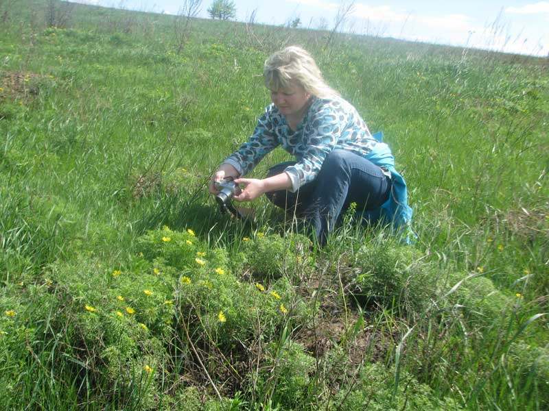 20 05 26 kaleydoskop01