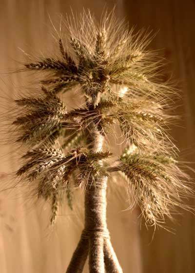 20 06 06 kvitchanya01