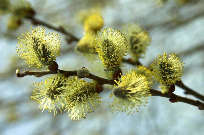 20 06 06 kvitchanya01