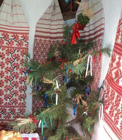 20 06 06 kvitchanya01