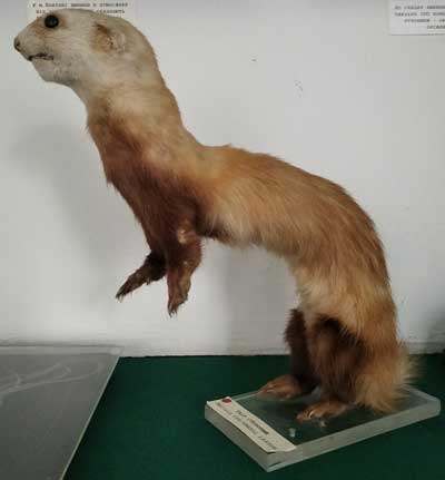 20 06 06 red book 02