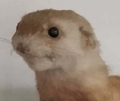 20 06 06 red book 04