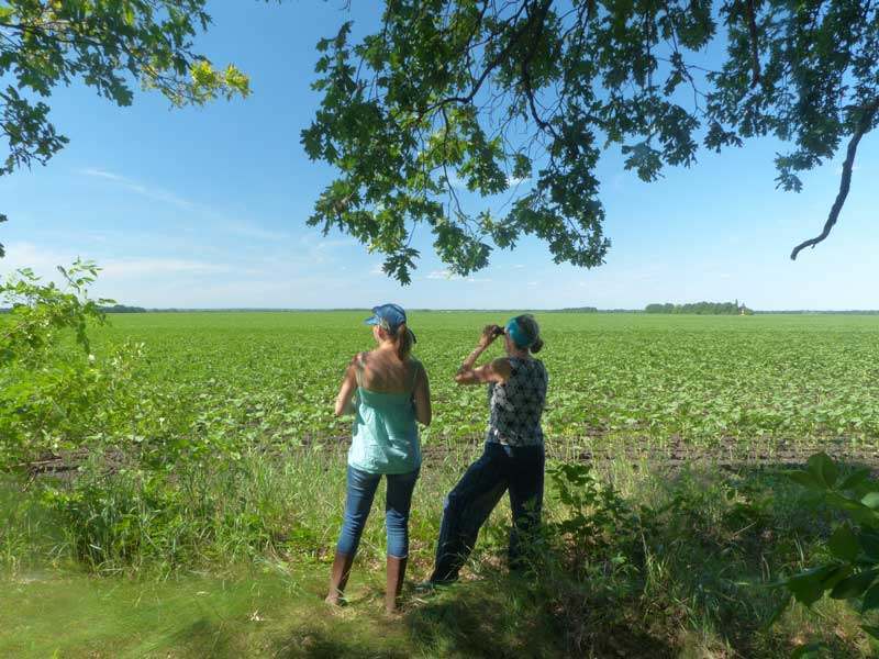 20 08 15 arheology01