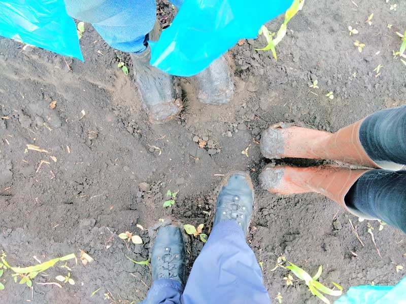 20 08 15 arheology01