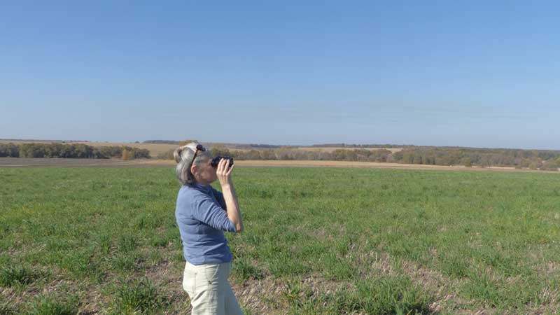 20 08 15 arheology01