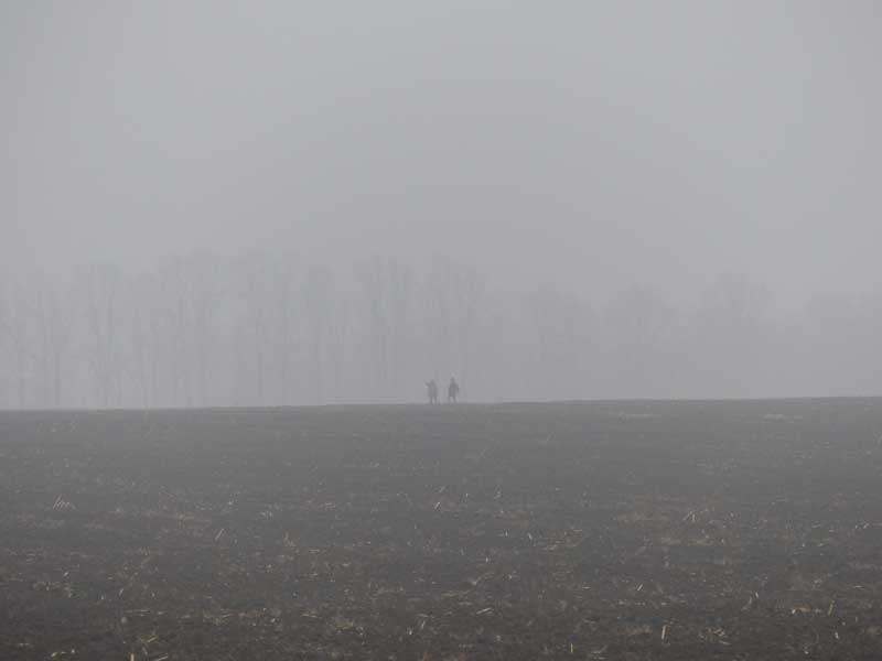 20 08 15 arheology01