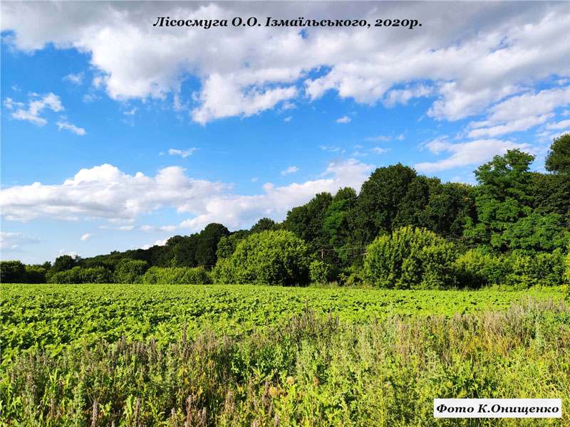 21 02 22 izmailskiy01