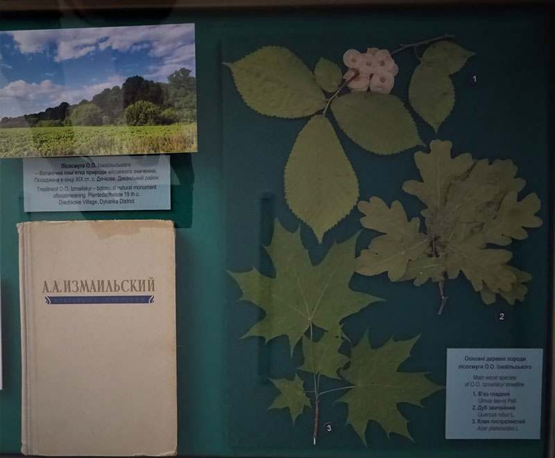 21 02 22 izmailskiy01