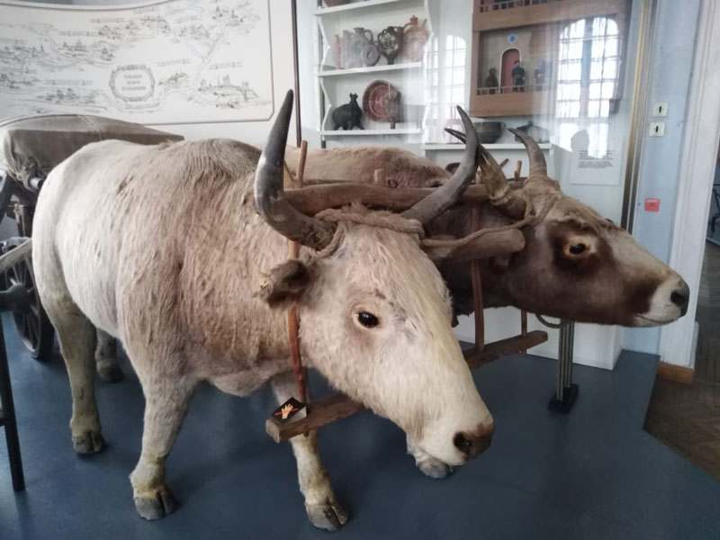 21 02 24 harlampiy01