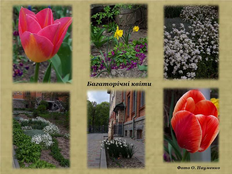 21 05 13 dendropark01