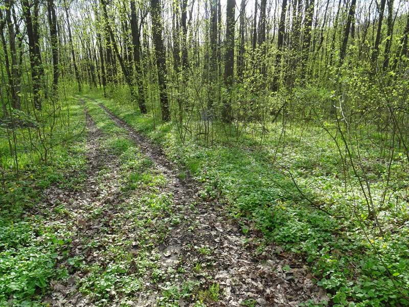 21 05 22 bioriznomanitya01