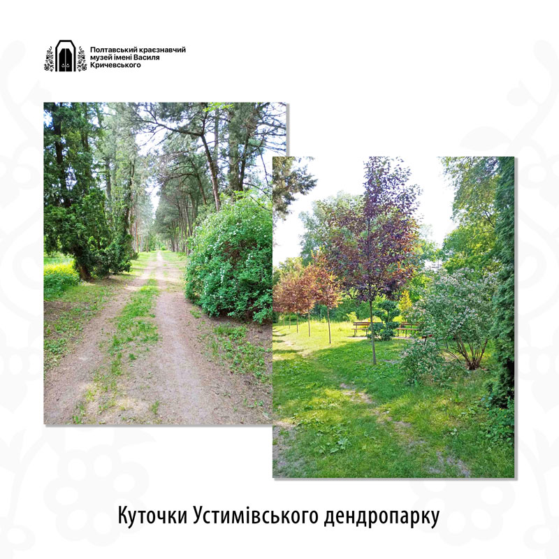 23 06 19 ustymivka01