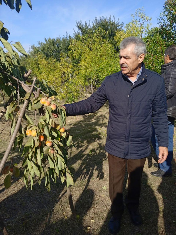 23 10 12 horol konf01