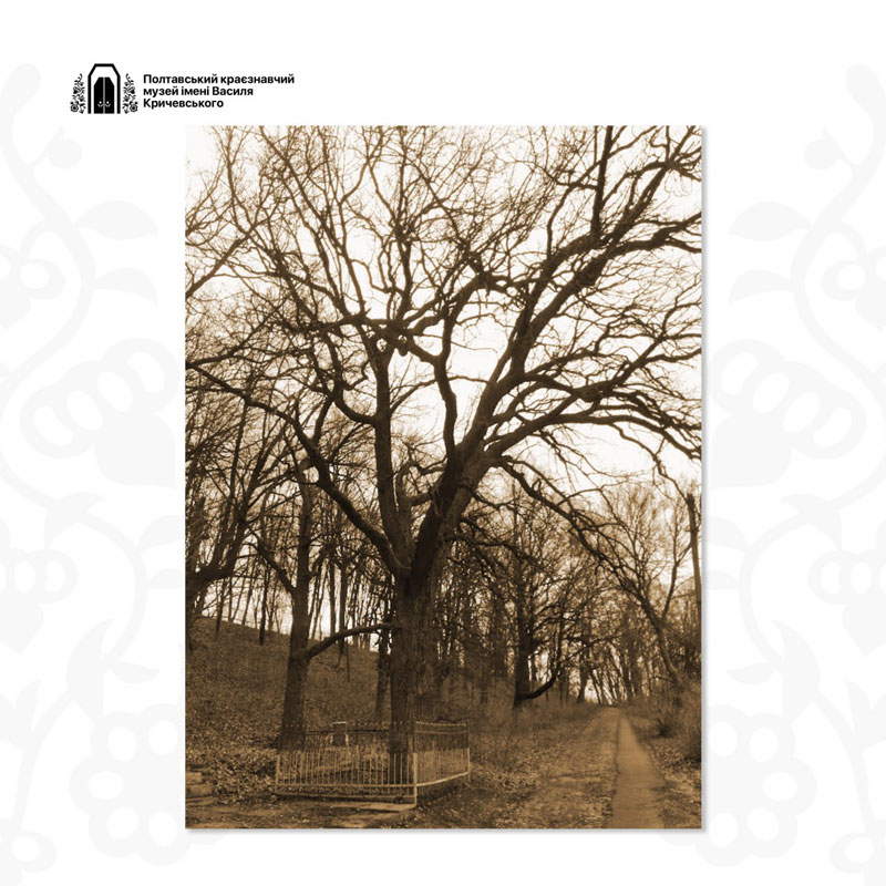 24 01 12 myloradovych01