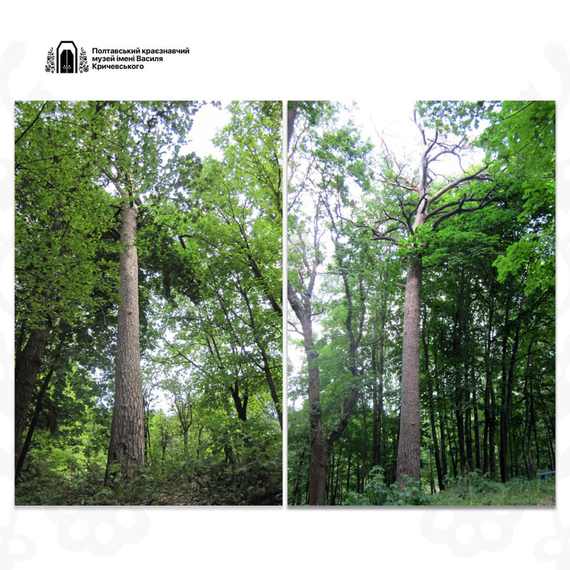 24 01 20 baranovskiy01