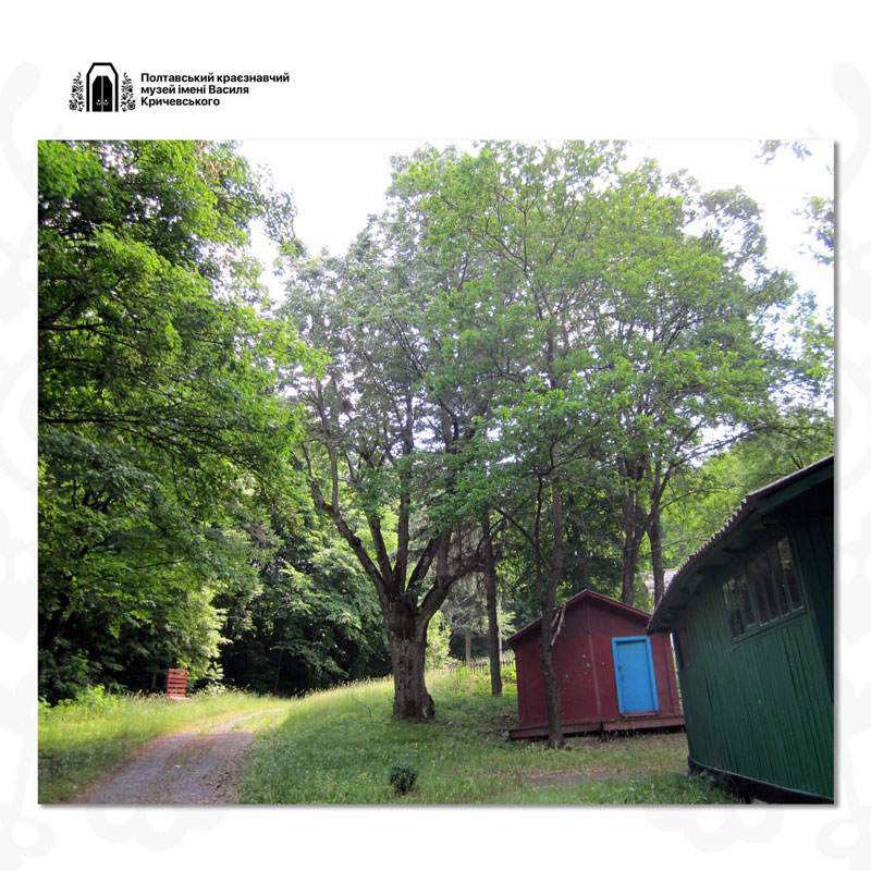 24 01 20 baranovskiy01