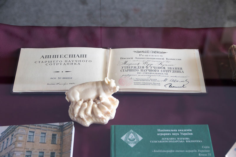 24 02 01 pochernaev01