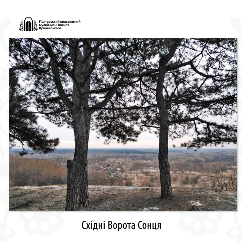 24 04 22 yazychnyky01