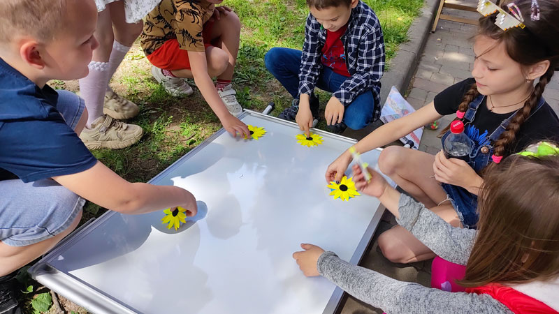 24 05 27 kvitchenya01