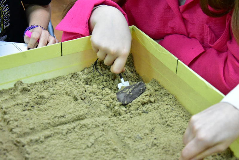 25 03 27 biblioteka01