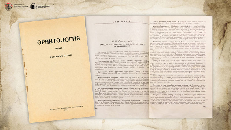 26 01 13 gavrilenka01