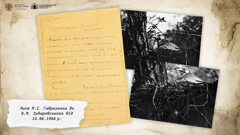 26 01 13 gavrilenka01