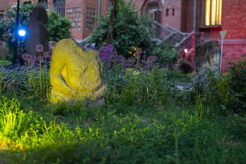 photo 5280799450668855425 y