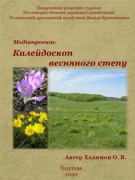 20 05 26 kaleydoskop00