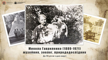 26 01 13 gavrilenka01