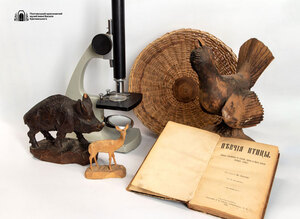 26 02 26 nadhodjenya